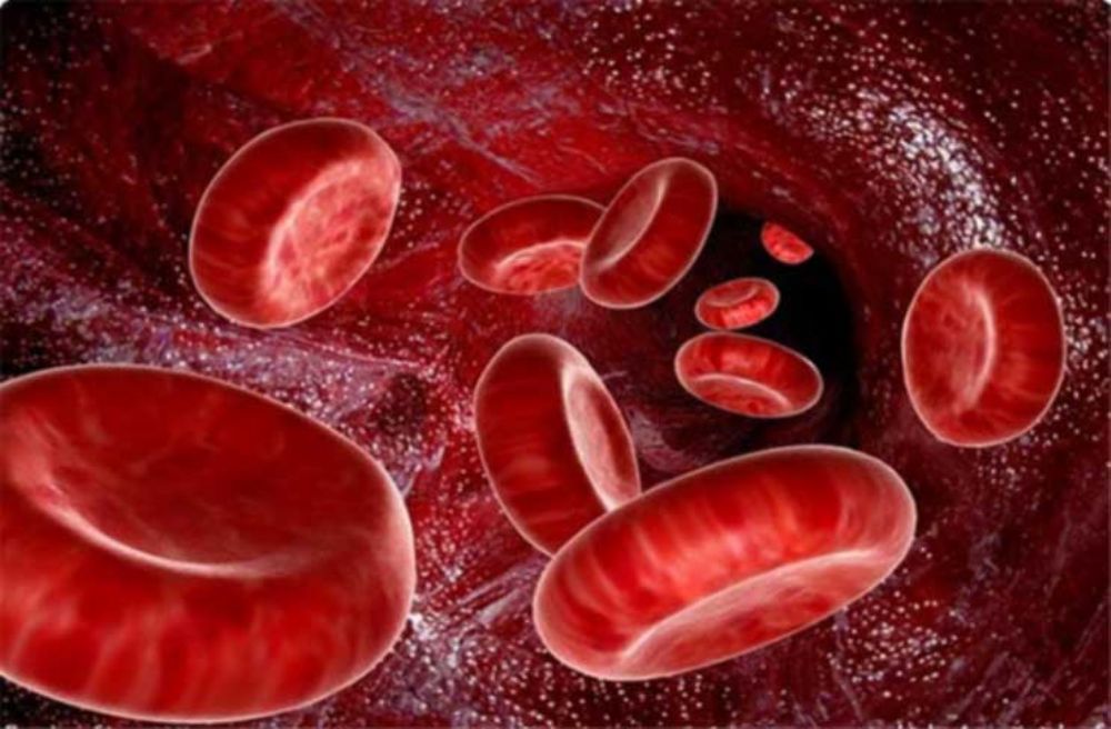 بعض الامراض التي تصيب الدم والاعراض التي تصاحب الاصابة بها .
