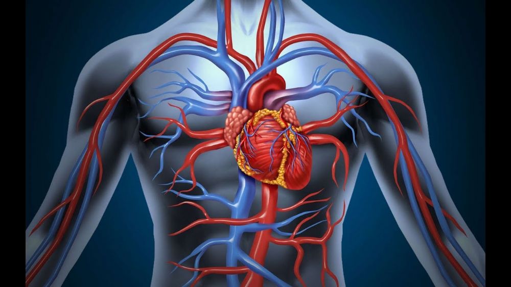 درهم وقاية خير من قنطار علاج , طريقة المحافظة على سلامة عضلة القلب والاوعية الدموية من الامراض.