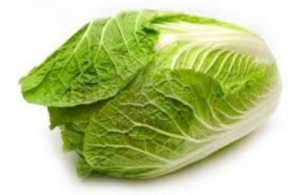 الخس ، خس Lettuce النبات المعروف فوائده ومضاره على الجسم من منظور الطب البديل