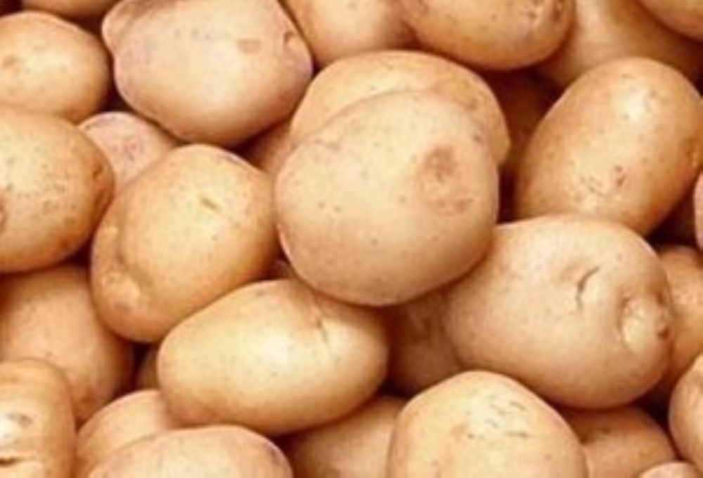 البطاطا او البطاطس أنواعها, فوائدها ومحاذير في استخدام البعض منها