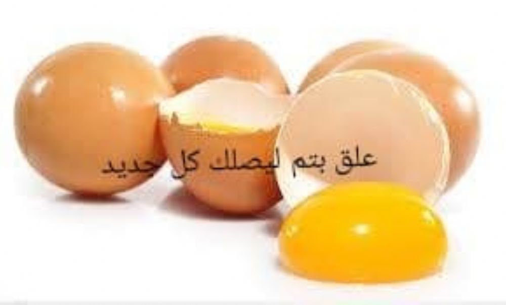 تعرفوا الى فوائد البيض المطبوخ,واضرار البيض النيء, وممنوعات استخدامه.
