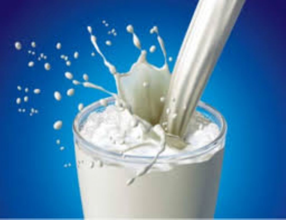 تعرفوا الى  الحليب الذي  يزيد الوزن , الحليب كامل الدسم!