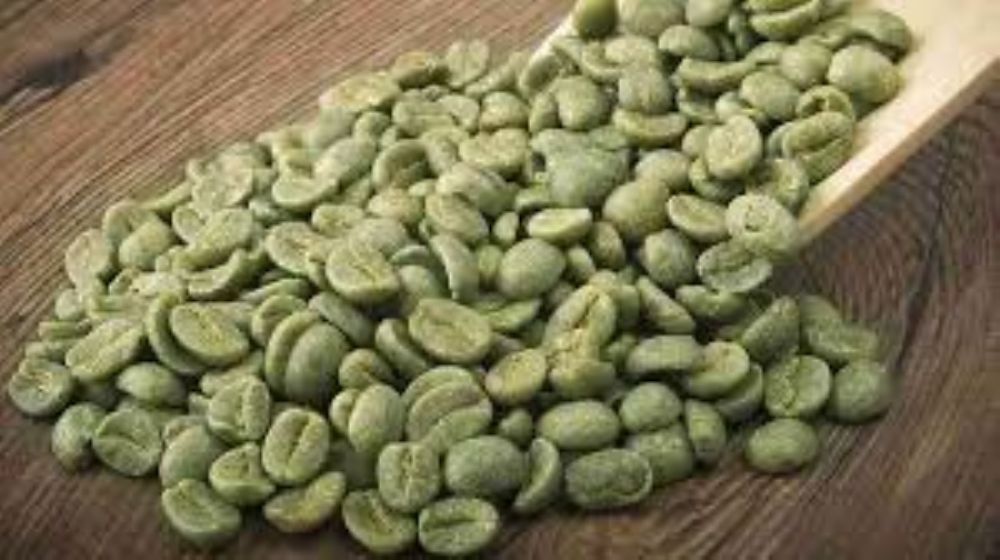 القهوة الخضراء العديد من الفوائد للصحة والجسم تعرفوا اليها.