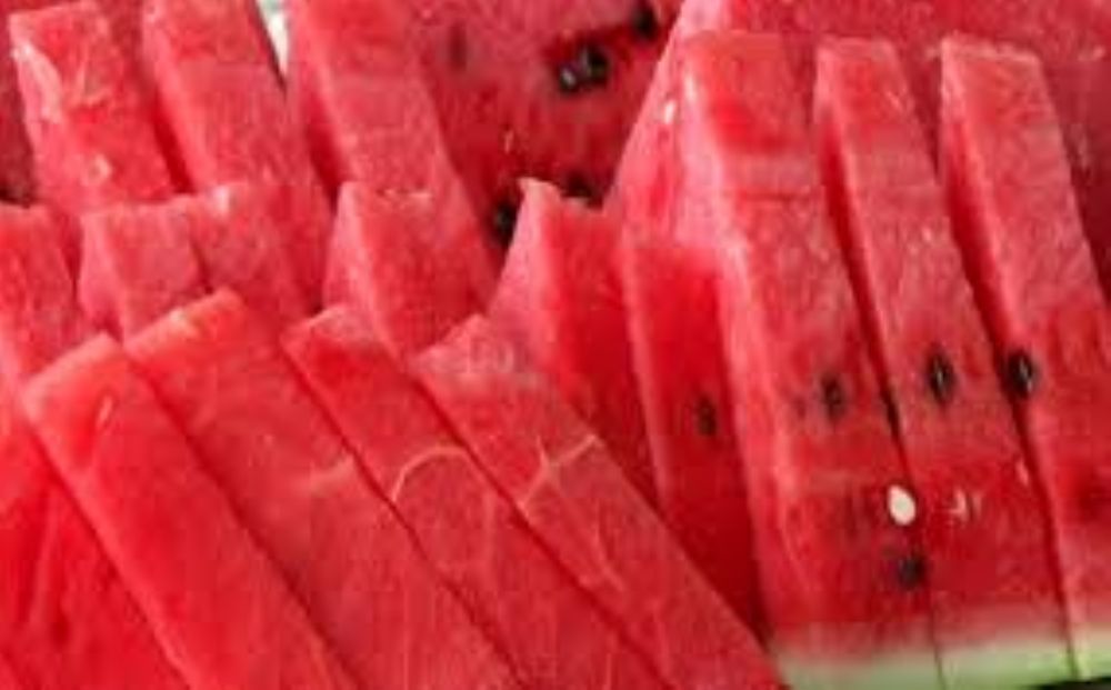 البطيخ الرقي او الحبحب فاكهة الصيف بلا منازع وسحور الصائمين في رمضان