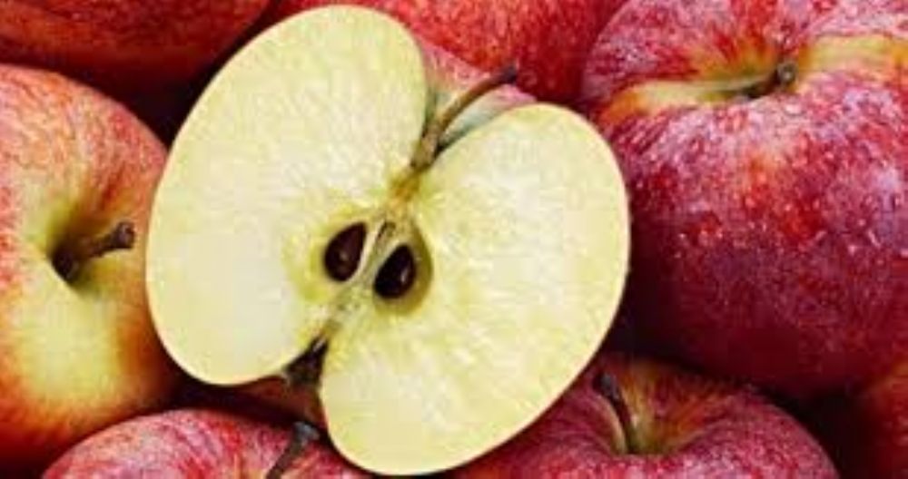 فوائد عديدة لزيت بذور التفاح للجسم والبشرة.