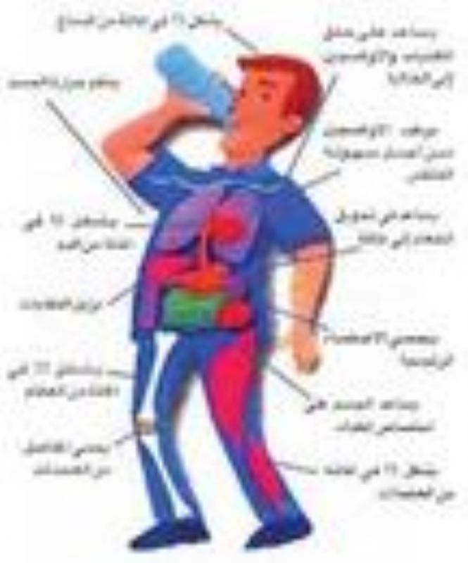 عرضي عربة قطار تجاهل  شرب الماء قواعد وفوائد للحفاظ على الصحة - الطب العربي البديل